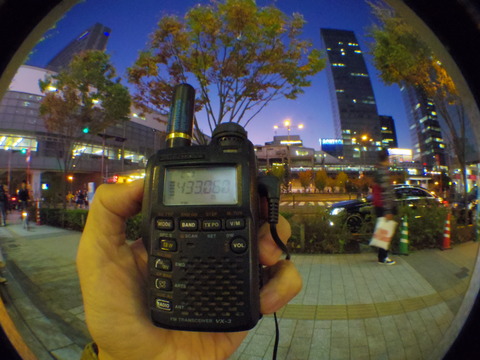 IMGP4185