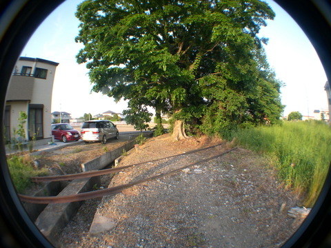 DSCN1358
