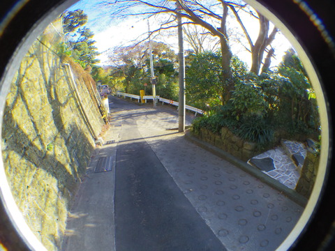 IMGP4629