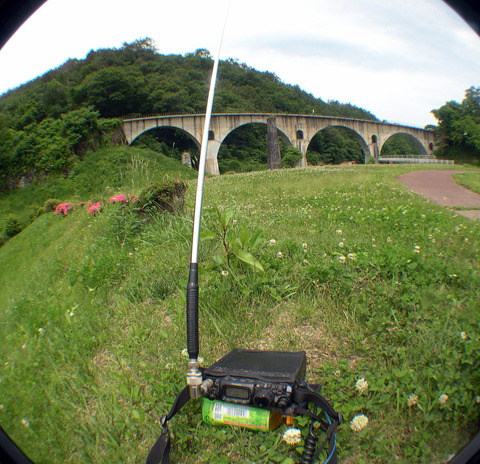 DSCN2159aa