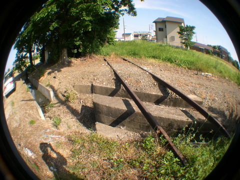 DSCN1231