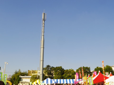IMGP3800