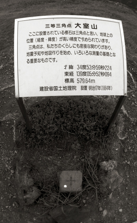 IMGP1108a
