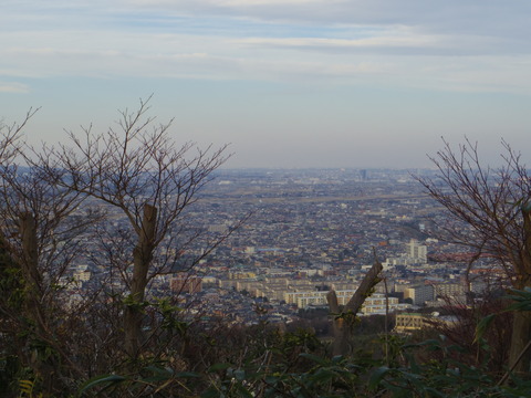 IMGP4649