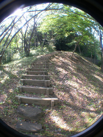 DSCN6769