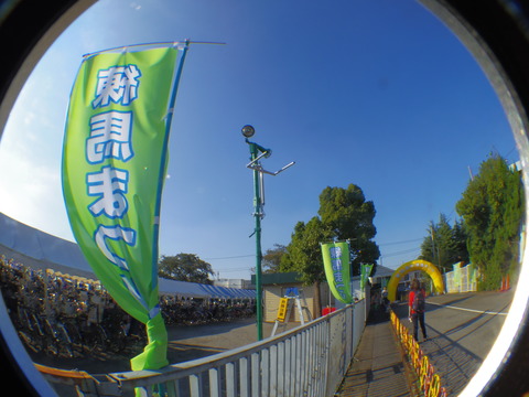 IMGP3804
