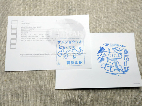 IMG_20190409_081847a