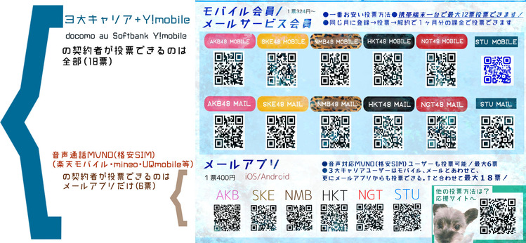 きゃりあとMVNOについて