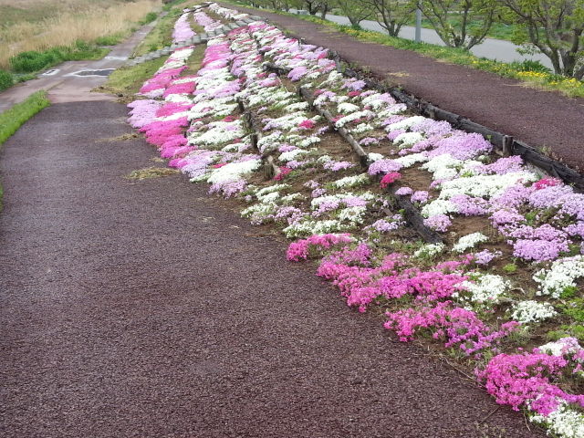 20140430_133856