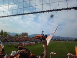 8107d060.jpg