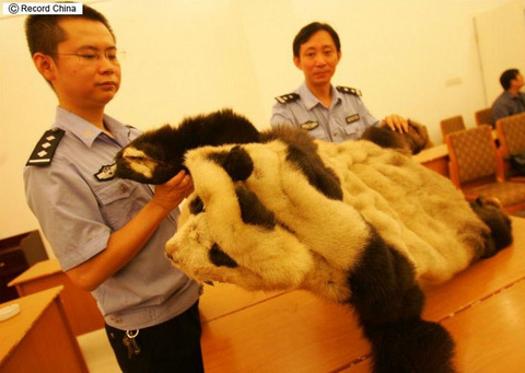 pandafur6