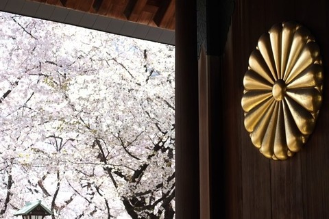 yasukuni-jinja-sakura-680x453