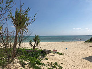 今日の天気