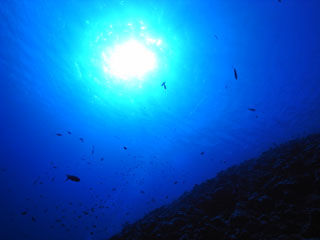 海