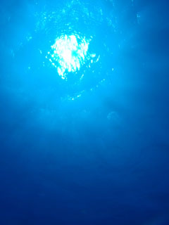 太陽