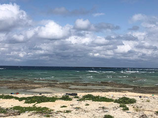 北側の海