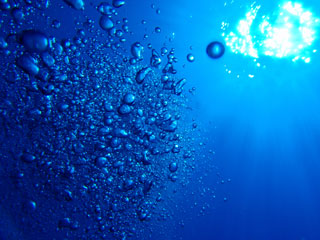 海中