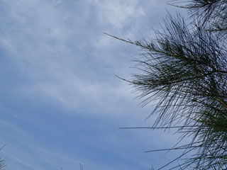 青空