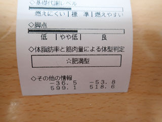 肥満型