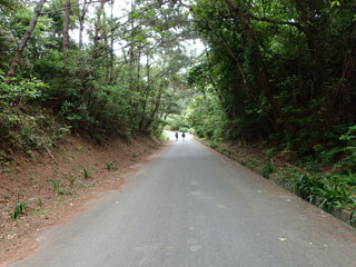 ¤ª¤Ð¤±ºä