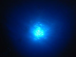 太陽