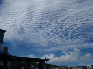 うろこ雲
