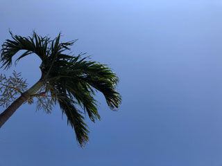 青空
