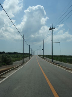 道