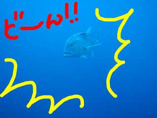 ¥í¥¦¥Ë¥ó¥¢¥¸¸½¤ë