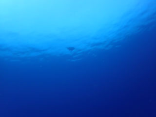 ¥¢¥ª¥¦¥ß¥¬¥á¡