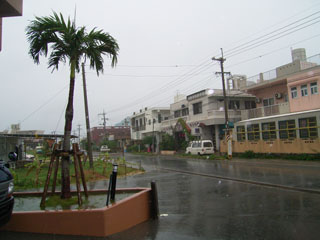 雨