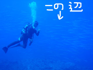 ¥«¥Þ¥¹¤È£²¥·¥ç¥Ã¥È