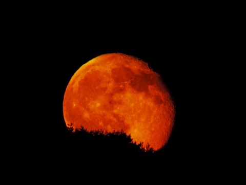 131613776104513113282_1024-P1080672