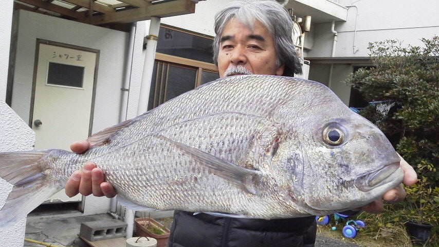 2012012508220000