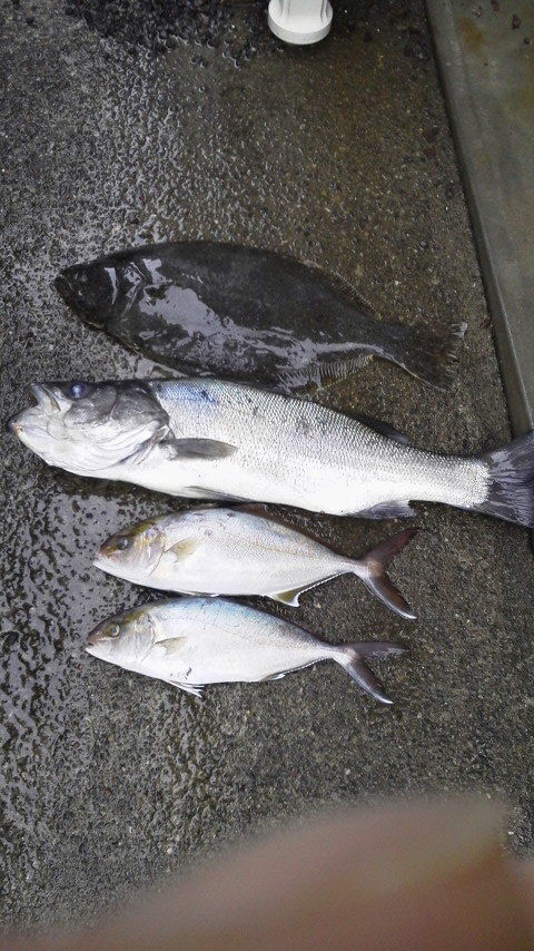 2012020613550000
