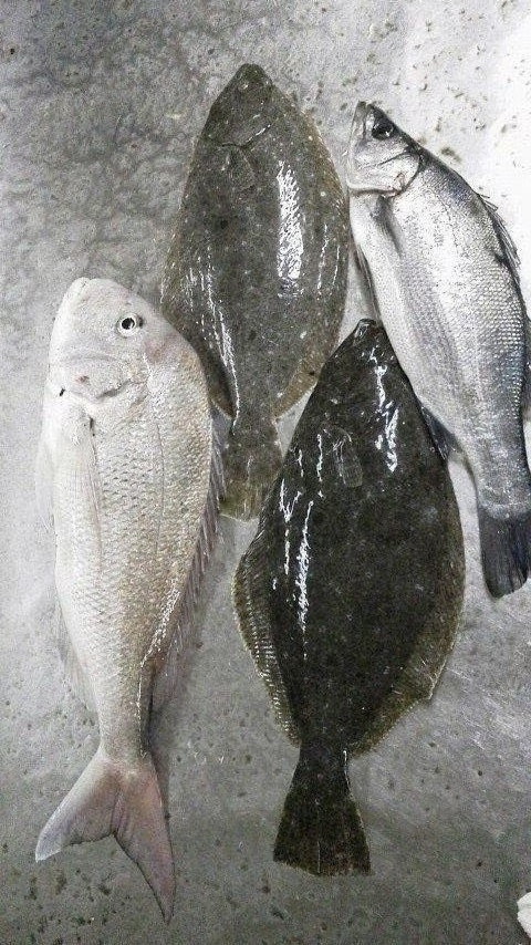 2012020218360000