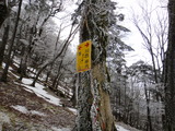 DSC07334