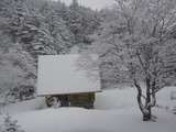 DSC07389