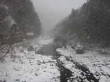 DSC07407