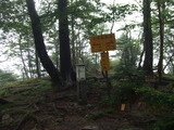 DSCF8920