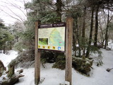 DSC07339