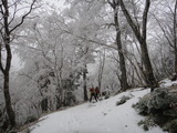 DSC07338