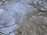 DSC07337