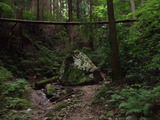 DSCF8701