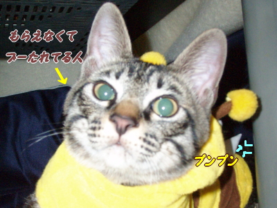 かんころもち5