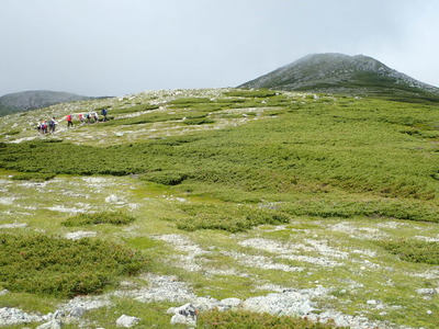 P7290118
