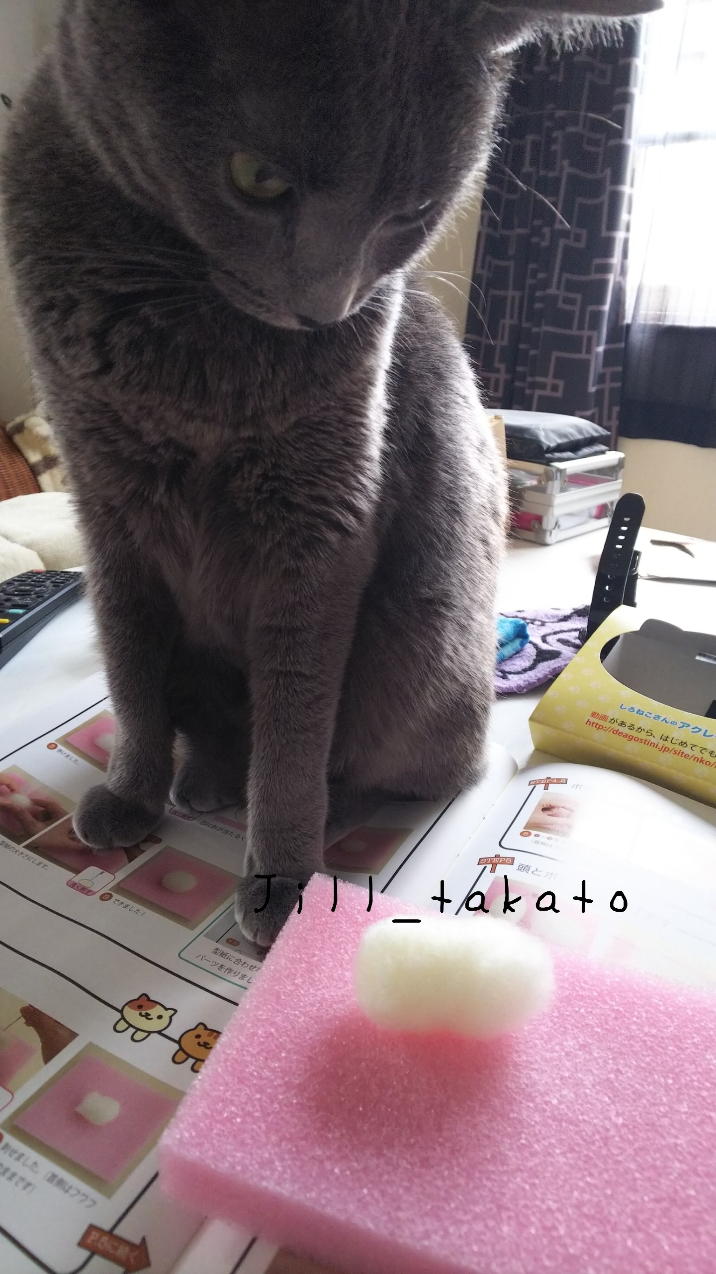 18-04-29-08-42-41-565_deco