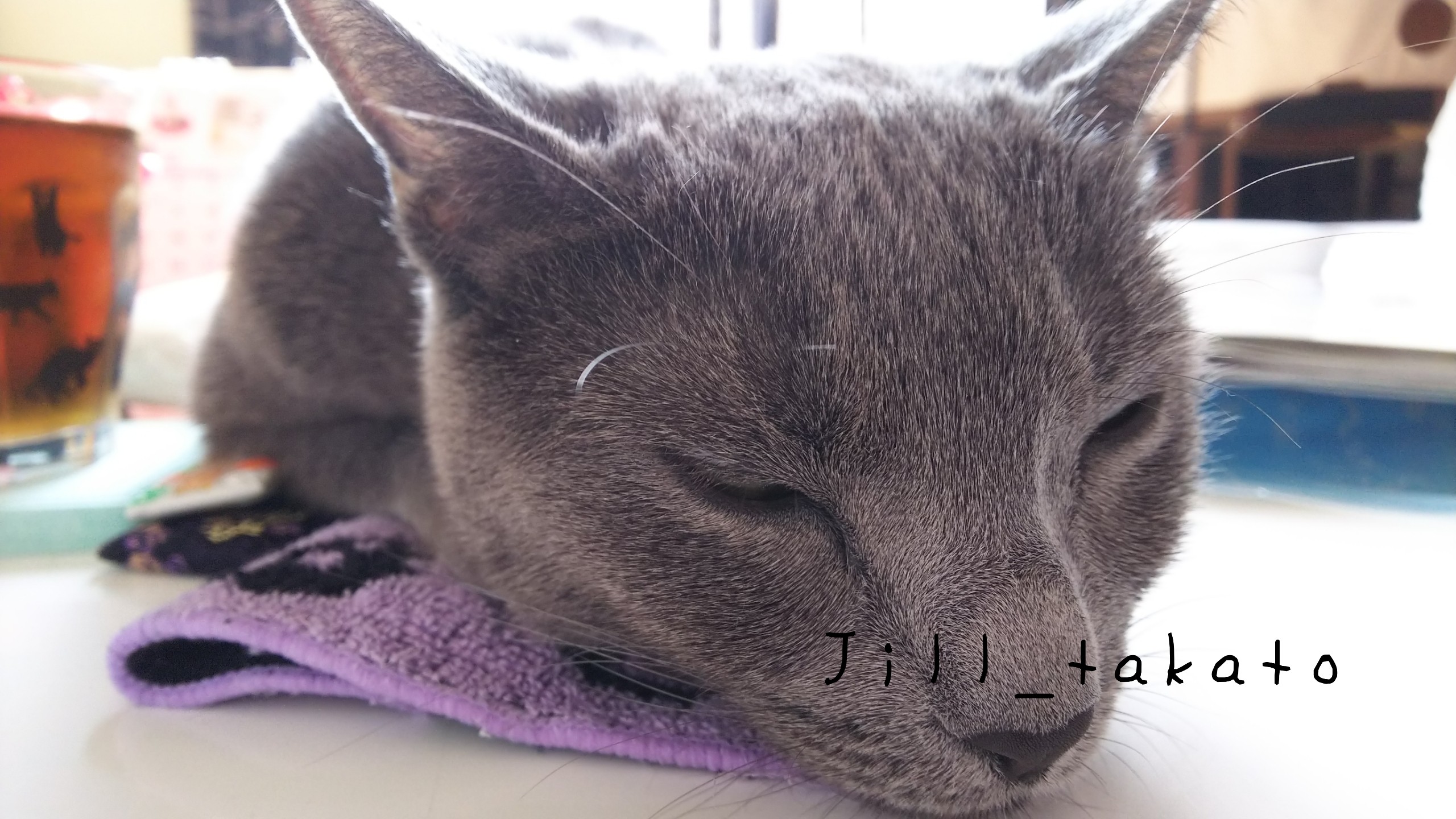 18-04-29-08-26-23-946_deco