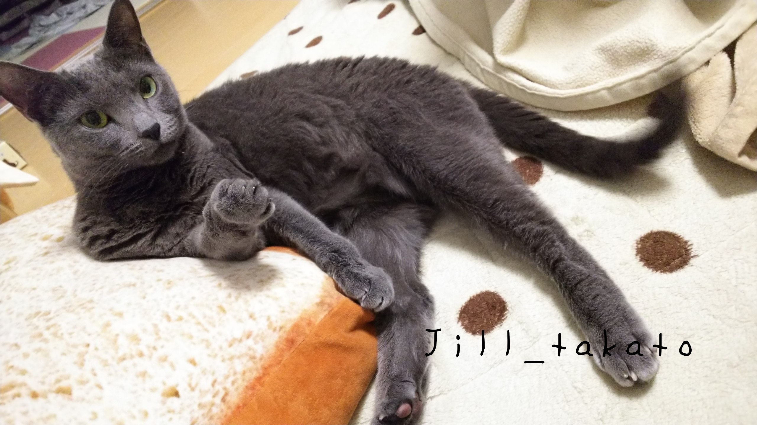 18-04-29-08-27-49-004_deco