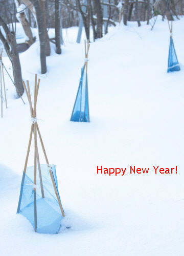 Happy New Year!